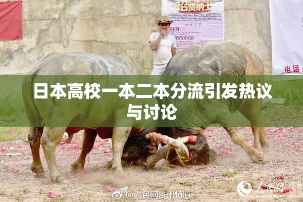 日本高校一本二本分流引发热议与讨论