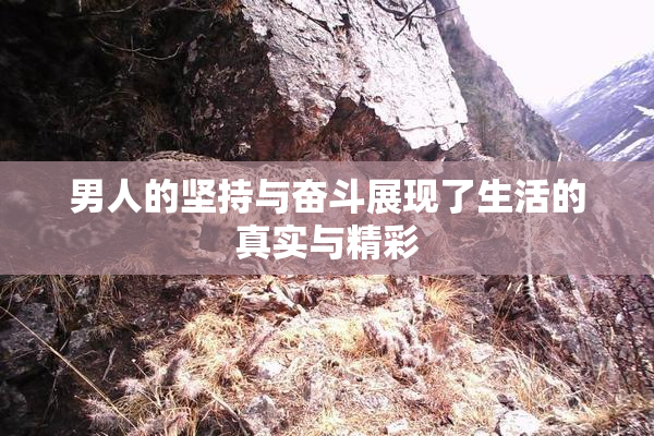 男人的坚持与奋斗展现了生活的真实与精彩