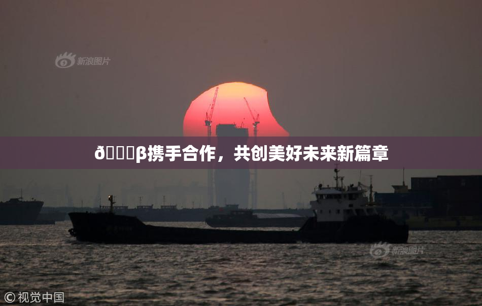 👙β携手合作，共创美好未来新篇章