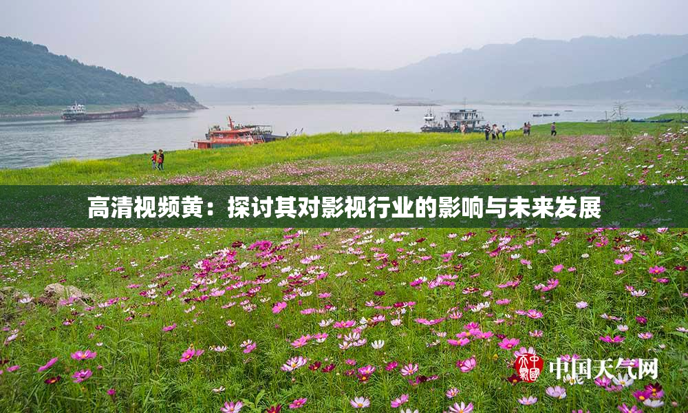 高清视频黄：探讨其对影视行业的影响与未来发展