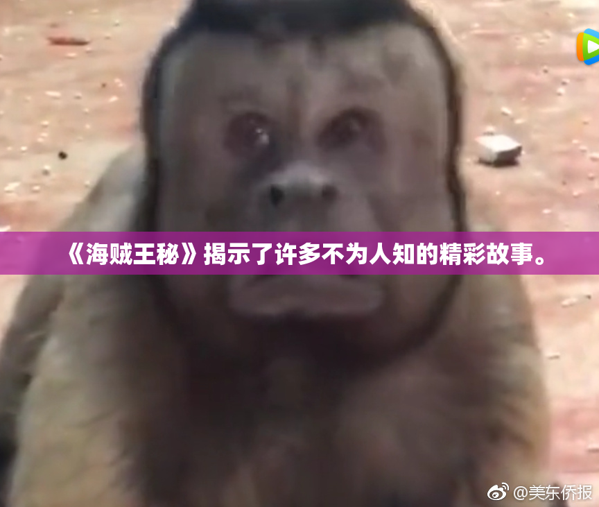 《海贼王秘》揭示了许多不为人知的精彩故事。
