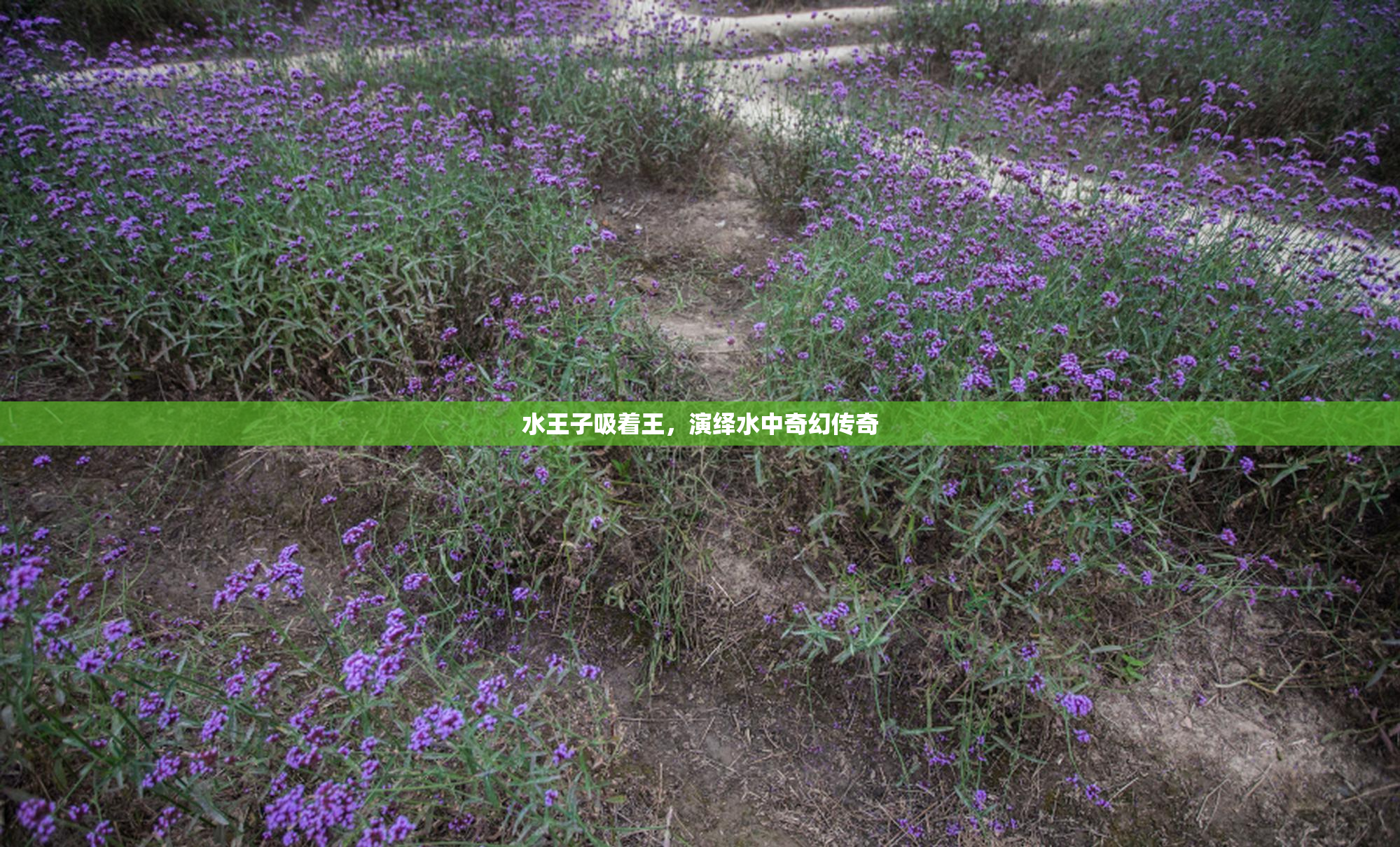 水王子吸着王，演绎水中奇幻传奇