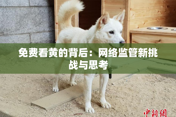 免费看黄的背后：网络监管新挑战与思考