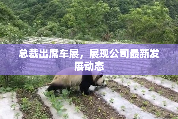 总裁出席车展，展现公司最新发展动态