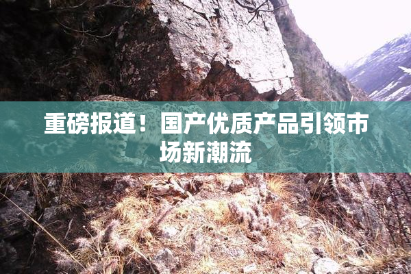重磅报道！国产优质产品引领市场新潮流