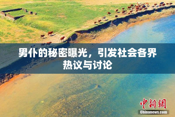 男仆的秘密曝光，引发社会各界热议与讨论