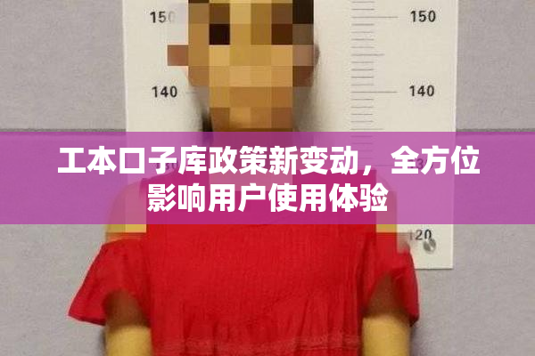 工本口子库政策新变动，全方位影响用户使用体验
