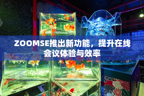 ZOOMSE推出新功能，提升在线会议体验与效率