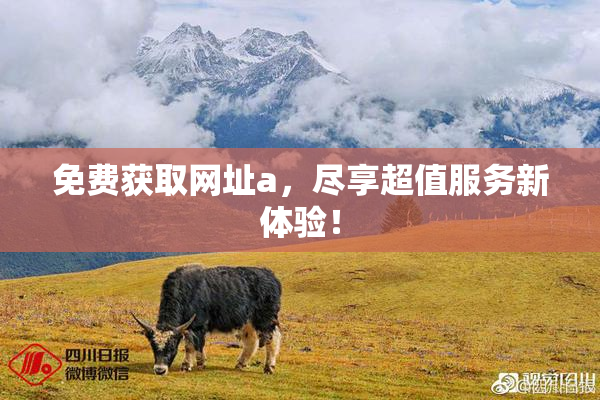 免费获取网址a，尽享超值服务新体验！