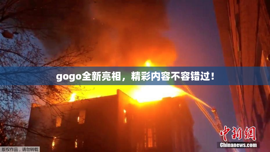 gogo全新亮相，精彩内容不容错过！