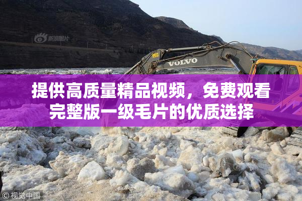 提供高质量精品视频，免费观看完整版一级毛片的优质选择