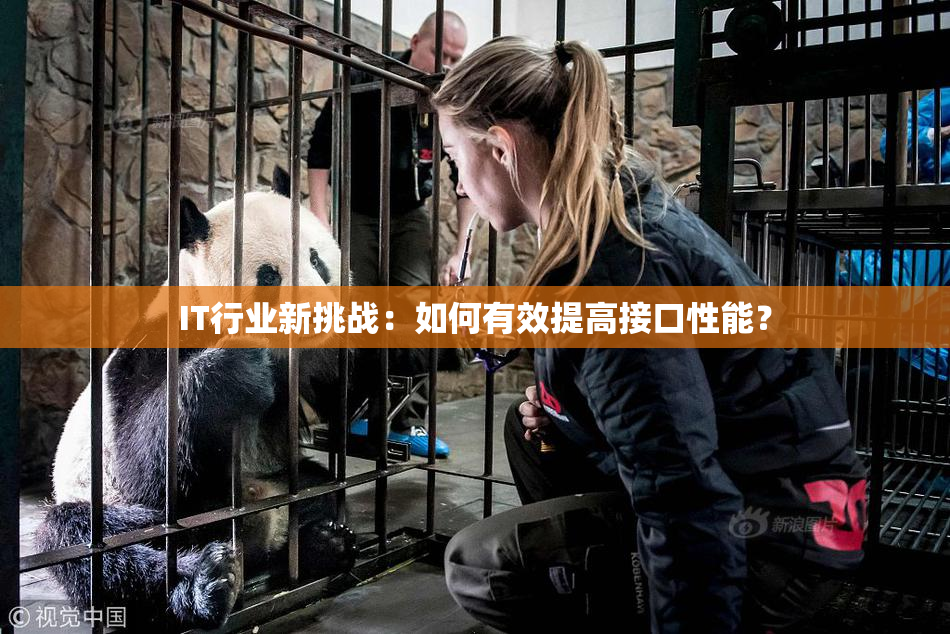 IT行业新挑战：如何有效提高接口性能？