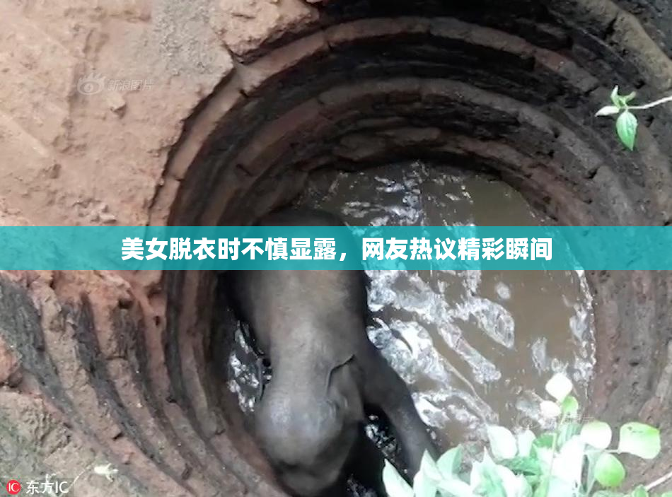 美女脱衣时不慎显露，网友热议精彩瞬间