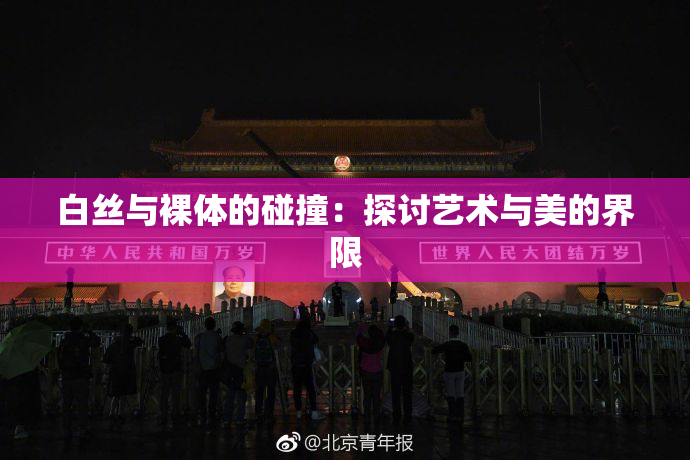 白丝与裸体的碰撞：探讨艺术与美的界限