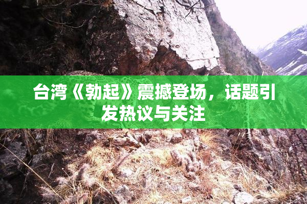 台湾《勃起》震撼登场，话题引发热议与关注