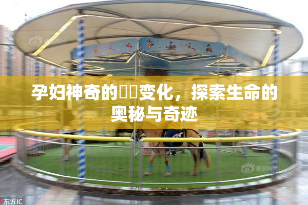 孕妇神奇的乂乄变化，探索生命的奥秘与奇迹