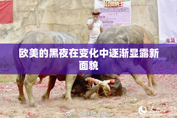 欧美的黑夜在变化中逐渐显露新面貌