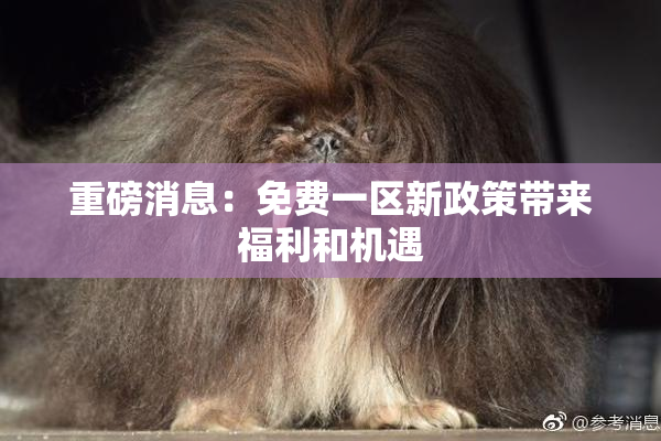 重磅消息：免费一区新政策带来福利和机遇