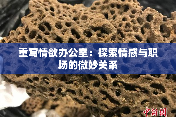 重写情欲办公室：探索情感与职场的微妙关系