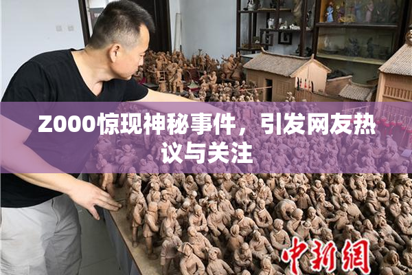 Z000惊现神秘事件，引发网友热议与关注