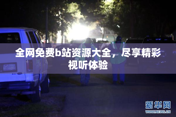 全网免费b站资源大全，尽享精彩视听体验