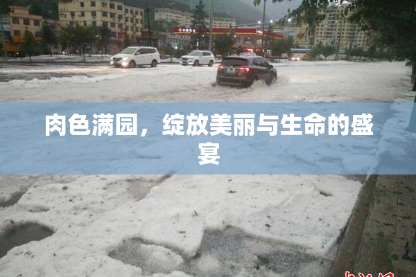 肉色满园，绽放美丽与生命的盛宴