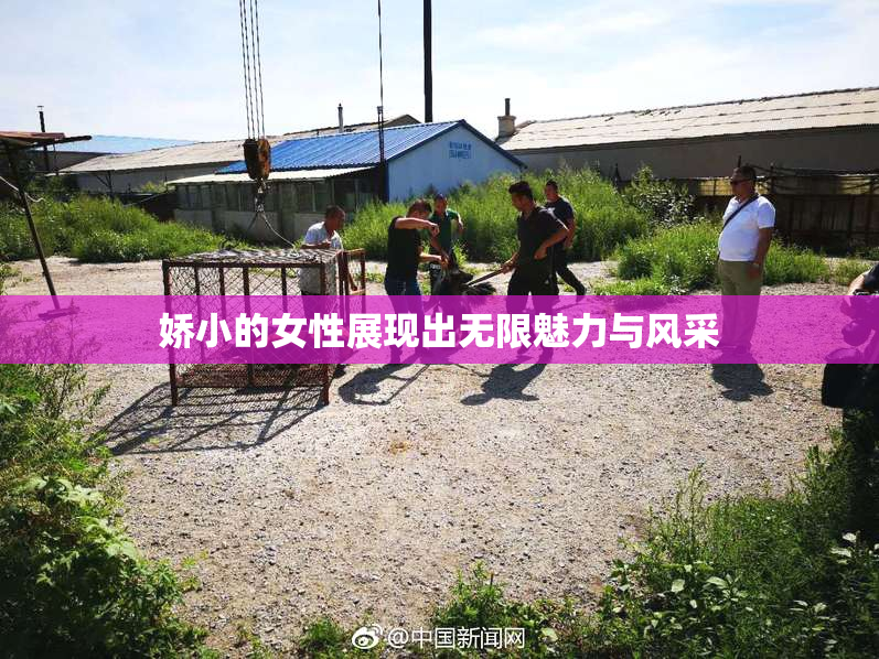 娇小的女性展现出无限魅力与风采
