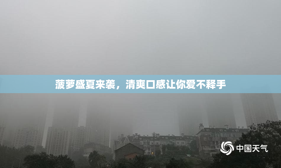 菠萝盛夏来袭，清爽口感让你爱不释手