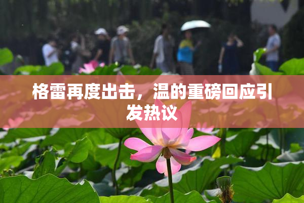 格雷再度出击，温的重磅回应引发热议