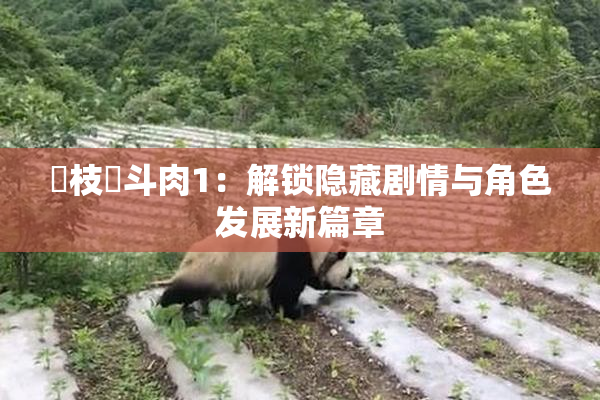 狛枝凪斗肉1：解锁隐藏剧情与角色发展新篇章