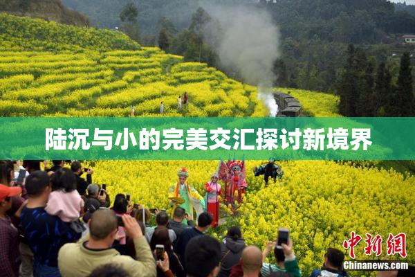 陆沉与小的完美交汇探讨新境界