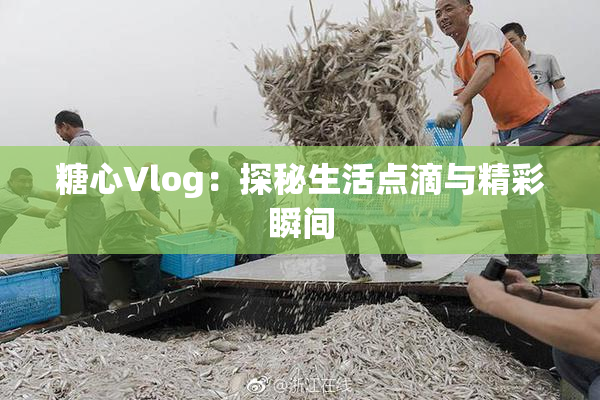 糖心Vlog：探秘生活点滴与精彩瞬间