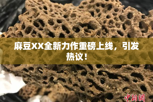 麻豆XX全新力作重磅上线，引发热议！
