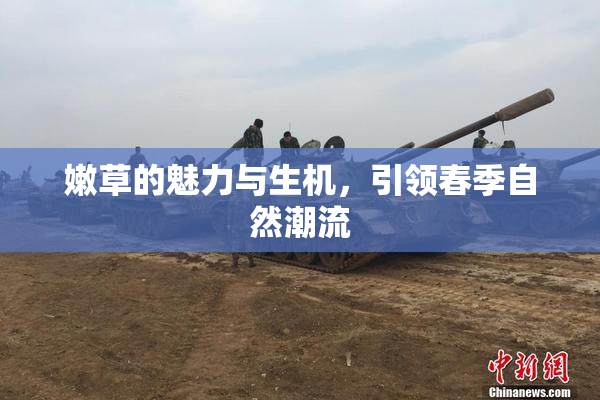嫩草的魅力与生机，引领春季自然潮流