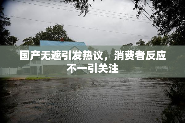 国产无遮引发热议，消费者反应不一引关注