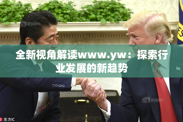 全新视角解读www.yw：探索行业发展的新趋势