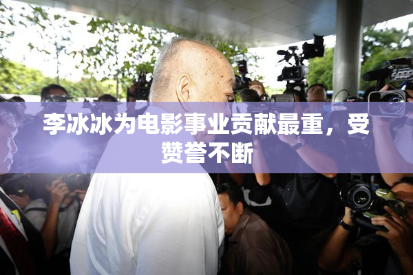 李冰冰为电影事业贡献最重，受赞誉不断