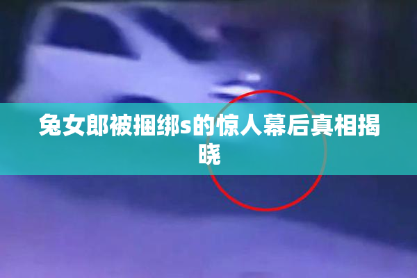 兔女郎被捆绑s的惊人幕后真相揭晓