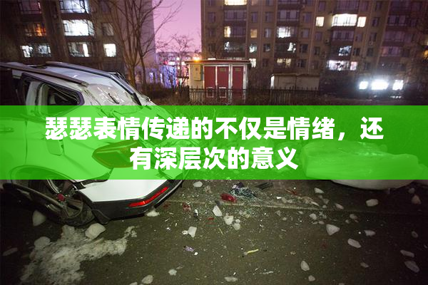 瑟瑟表情传递的不仅是情绪，还有深层次的意义