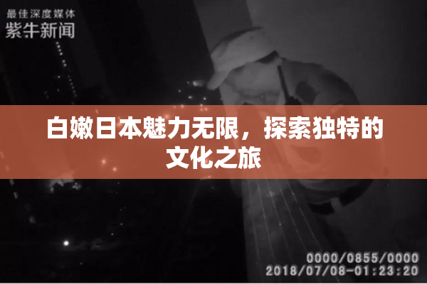 白嫩日本魅力无限，探索独特的文化之旅