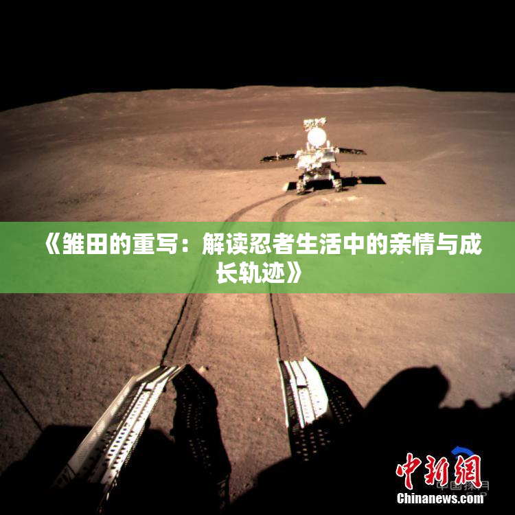 《雏田的重写：解读忍者生活中的亲情与成长轨迹》