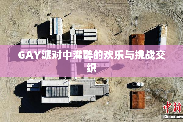GAY派对中灌醉的欢乐与挑战交织