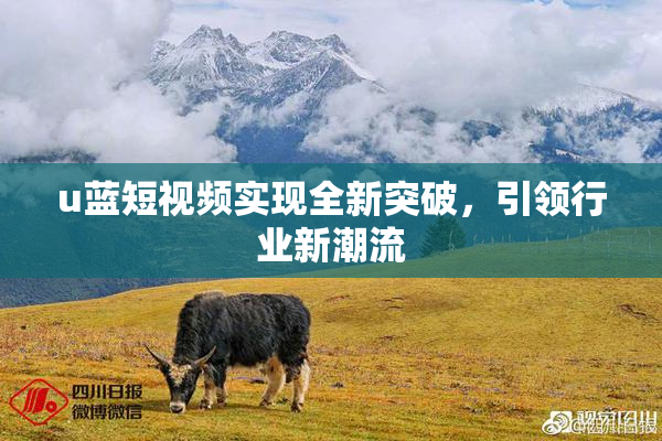 u蓝短视频实现全新突破，引领行业新潮流