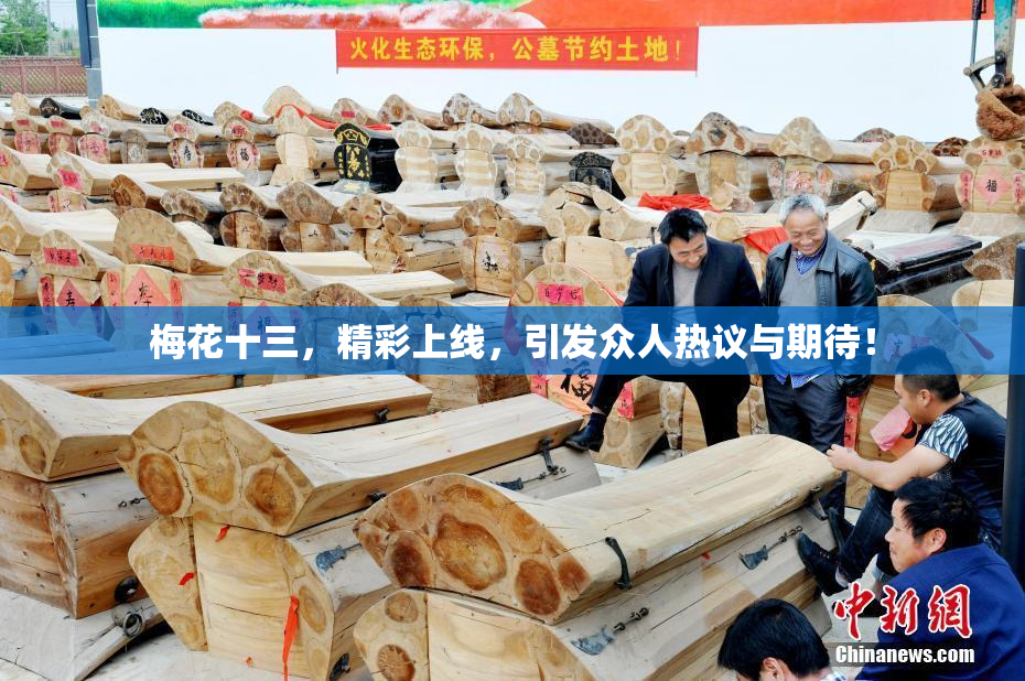 梅花十三，精彩上线，引发众人热议与期待！