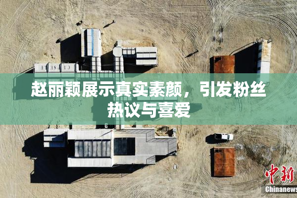 赵丽颖展示真实素颜，引发粉丝热议与喜爱