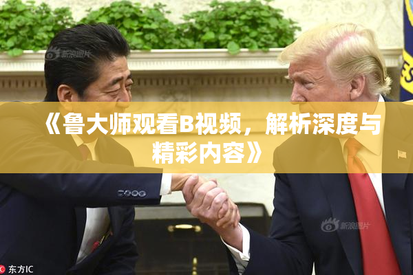 《鲁大师观看B视频，解析深度与精彩内容》