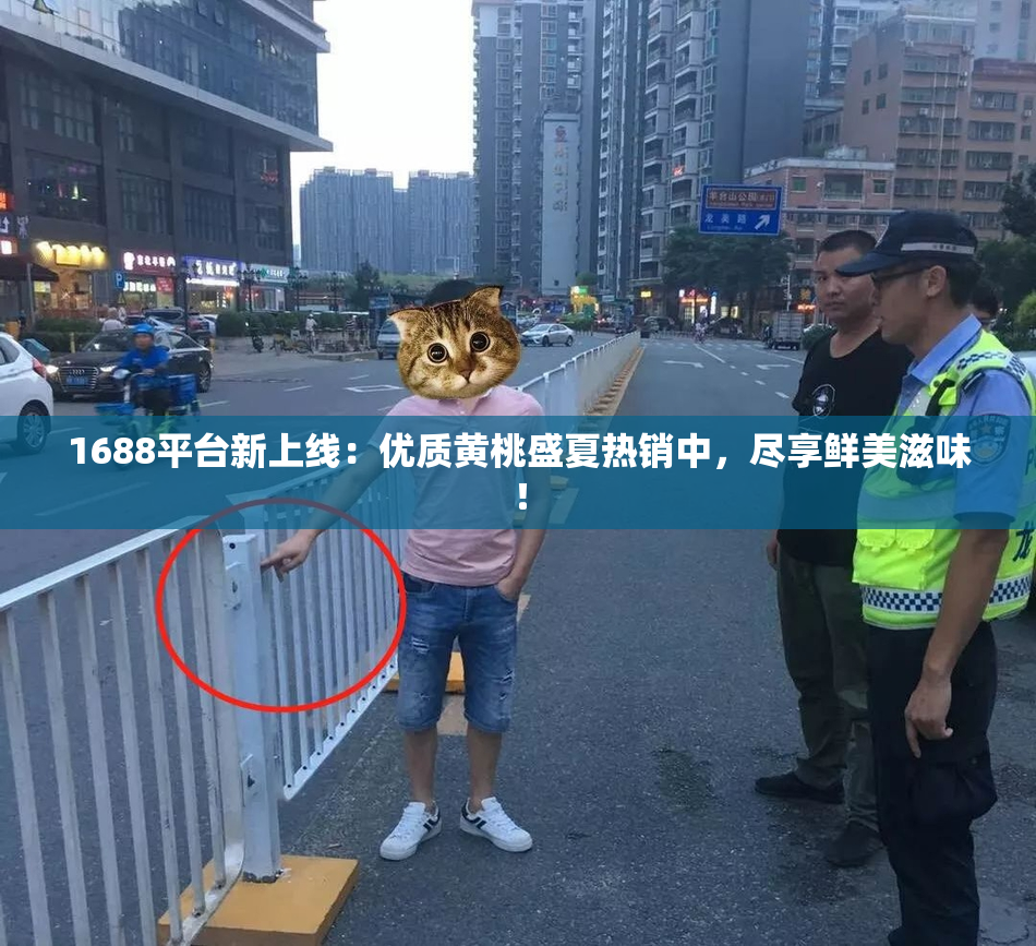 1688平台新上线：优质黄桃盛夏热销中，尽享鲜美滋味！