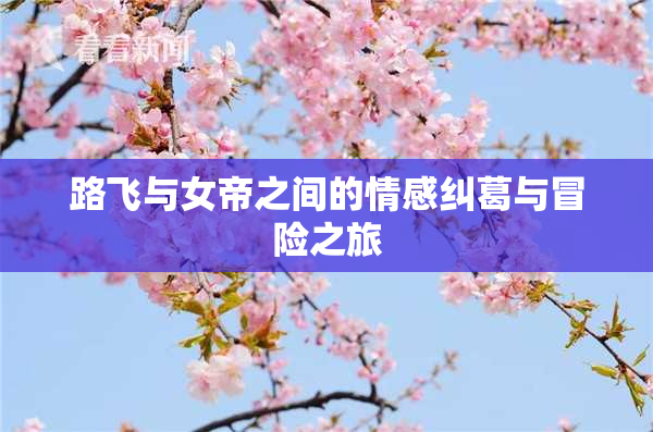 路飞与女帝之间的情感纠葛与冒险之旅