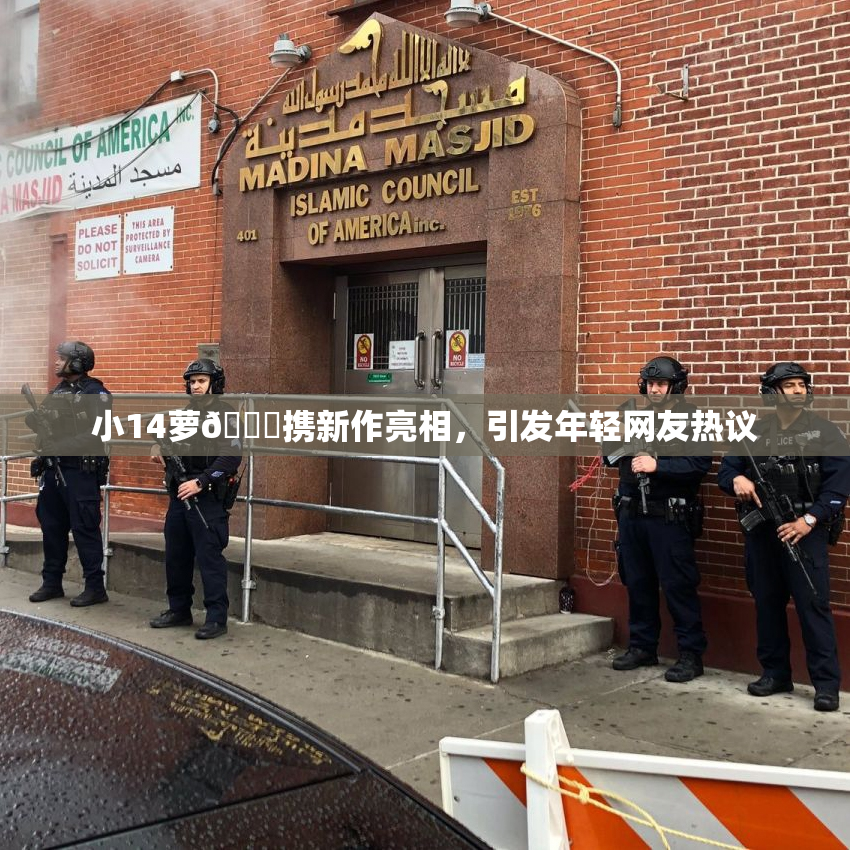 小14萝🔞携新作亮相，引发年轻网友热议
