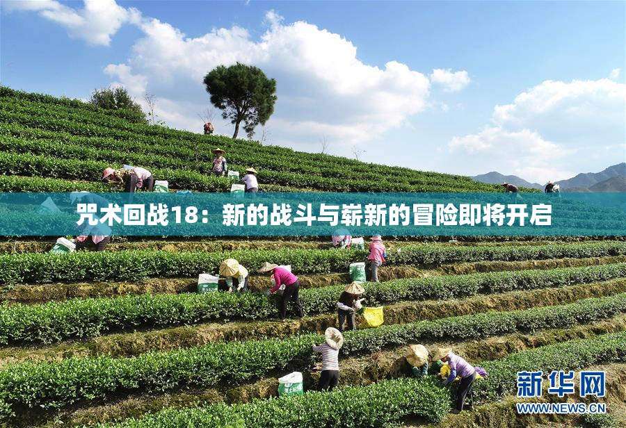 咒术回战18：新的战斗与崭新的冒险即将开启